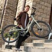 FIIDO C700 stylowy lekki miejski 250W|19.5kg do 80km - 2