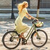 FIIDO C700 stylowy lekki miejski 250W|19.5kg do 80km - 4