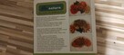 Naczynie do kiełkowania - BIO NATURA - 5