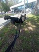 Henio, wychowany niebieskooki dżentelmen szuka domu! - 6