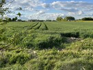 Działka 14816 m2 z WZ w gm. Przyłęk pow. Zwoleń. - 8