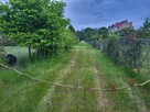 Działka budowlana Wrocław Fabryczna, Jerzmanowo, Jarnołtowska - 2
