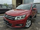 Tiguan 1.4 benzyna 160km BI-XENON kamera NAVI welur PDC serwis 2014 - 1