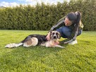 Lusia- średniej wielkości suczka do pilnej adopcji - 8