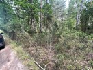Działka budowlana w lesie 30 min. od Warszawy - 2