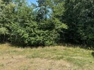 Duża, cicha działka w otulinie lasu - BEZ PROWIZJI - 2
