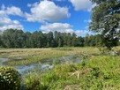 Budowlana 2,6 ha nad Bugiem 30 km od Warszawy - 8