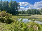 Budowlana 2,6 ha nad Bugiem 30 km od Warszawy - 9