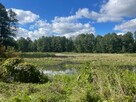 Budowlana 2,6 ha nad Bugiem 30 km od Warszawy - 10