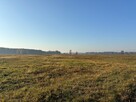 Ziemia rolna 2,71 ha koło Radzymina - 3