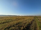 Ziemia rolna 2,71 ha koło Radzymina - 4