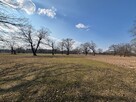 Działka 7500 M2 30 km od Warszawy, rzeka, las - 3