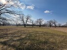 Działka 7500 M2 30 km od Warszawy, rzeka, las - 4