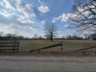 Działka 3,74 ha 30 km od Warszawy, rzeka, las - 2
