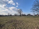 Działka 3,74 ha 30 km od Warszawy, rzeka, las - 11
