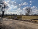 Działka 3,74 ha 30 km od Warszawy, rzeka, las - 13