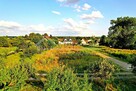 Działka budowlana Lublin Zemborzyce, Zemborzyce Kościelne, Pszczela - 3