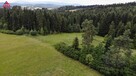 Działka rolna Skawa gm. Raba Wyżna - 4