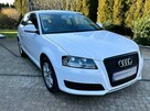 Audi A3 8p 1.6 MPI 102KM S-Line Wersja po Liftowa B.Ładna Opłacona - 2