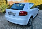 Audi A3 8p 1.6 MPI 102KM S-Line Wersja po Liftowa B.Ładna Opłacona - 4