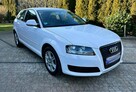 Audi A3 8p 1.6 MPI 102KM S-Line Wersja po Liftowa B.Ładna Opłacona - 9
