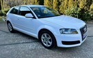 Audi A3 8p 1.6 MPI 102KM S-Line Wersja po Liftowa B.Ładna Opłacona - 15
