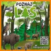 EKOMANIA LAS eko GRA XXL dla DZIECI duży format 3 x 2 metra - 5