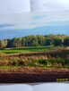 Sprzedam działkę z domem rekreacyjnym - 2