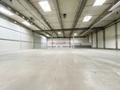 HALA MAGAZYN 2860 m2 Rybitwy 10 m TIR - 2