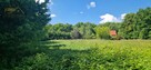 Działka rolna Bojanice gm. Świdnica - 6