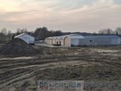 Kompleks budynków gospodarczych po pieczarkarni - 4