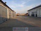 Kompleks budynków gospodarczych po pieczarkarni - 7