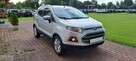 Ford EcoSport - 1