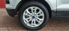 Ford EcoSport - 4
