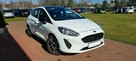 Ford Fiesta - 1