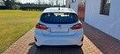 Ford Fiesta - 6