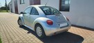 Volkswagen New Beetle - 6