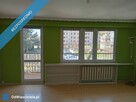 Sprzedam mieszkanie M4 60m2 do remontu w Pabianicach - 13