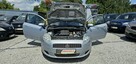 Fiat Punto 1,4 BENZYNA * AUTOMAT * GWARANCJA * Możliwa Zamiana - 15