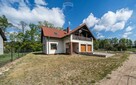 WOLNOSTOJĄCY | LAS | CISZA | SĘKOWO | natura - 4