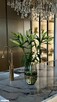 Nowy luksusowy apartament gotowy do zamieszkania Gdynia - 16