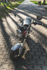 Wynajem motocykla - wypożyczalnia motocykli Szn - Honda dax - 8