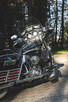 Wynajem motocykla - Harley davidson elektra glide - 14