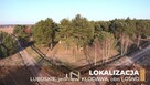 Działka łośno - 12