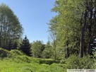 Działki budowlane, Góra Motyczna, gm. Żyraków - 4