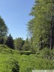 Działki budowlane, Góra Motyczna, gm. Żyraków - 5