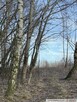 Działki budowlane, Góra Motyczna, gm. Żyraków - 8