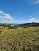Działka inwestycyjna Falsztyn gm. Łapsze Niżne, Królowej Polski - 3