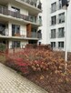 3-pokojowe mieszkanie w Ząbkach - 7
