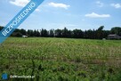 Skoczów Ochaby 3,2ha budowlany oraz pod usługi nieuciążliwe - 5